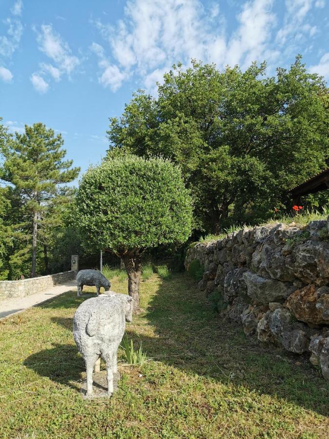 Villa Domaine Geodora, Parfumeur En Provence Montauroux Esterno foto