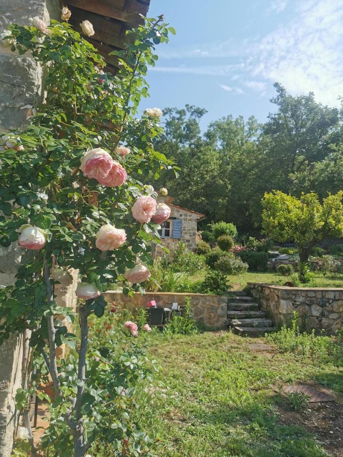 Villa Domaine Geodora, Parfumeur En Provence Montauroux Esterno foto