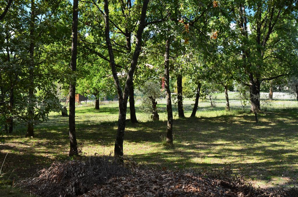 Villa Domaine Geodora, Parfumeur En Provence Montauroux Esterno foto